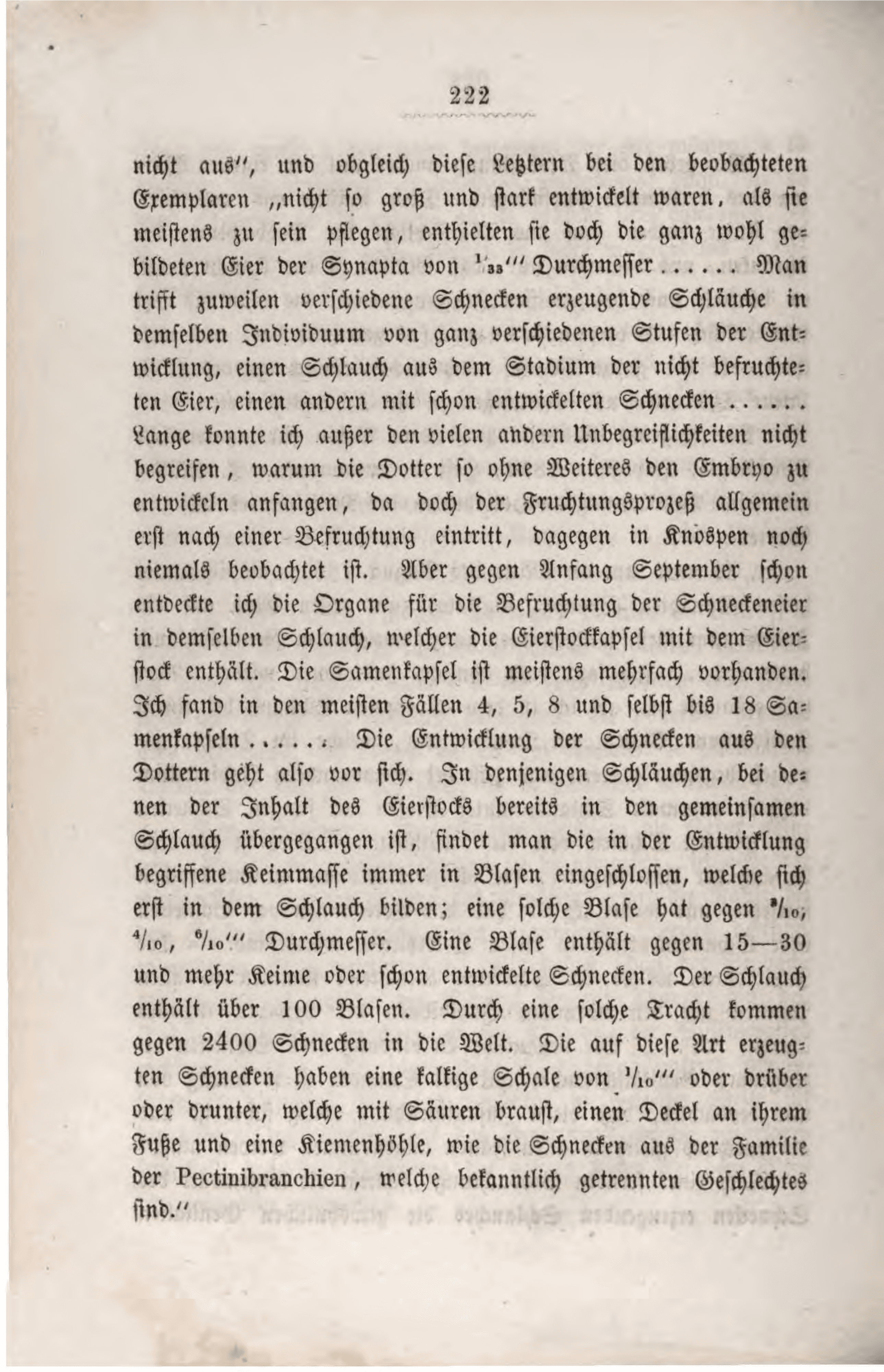 Page 242