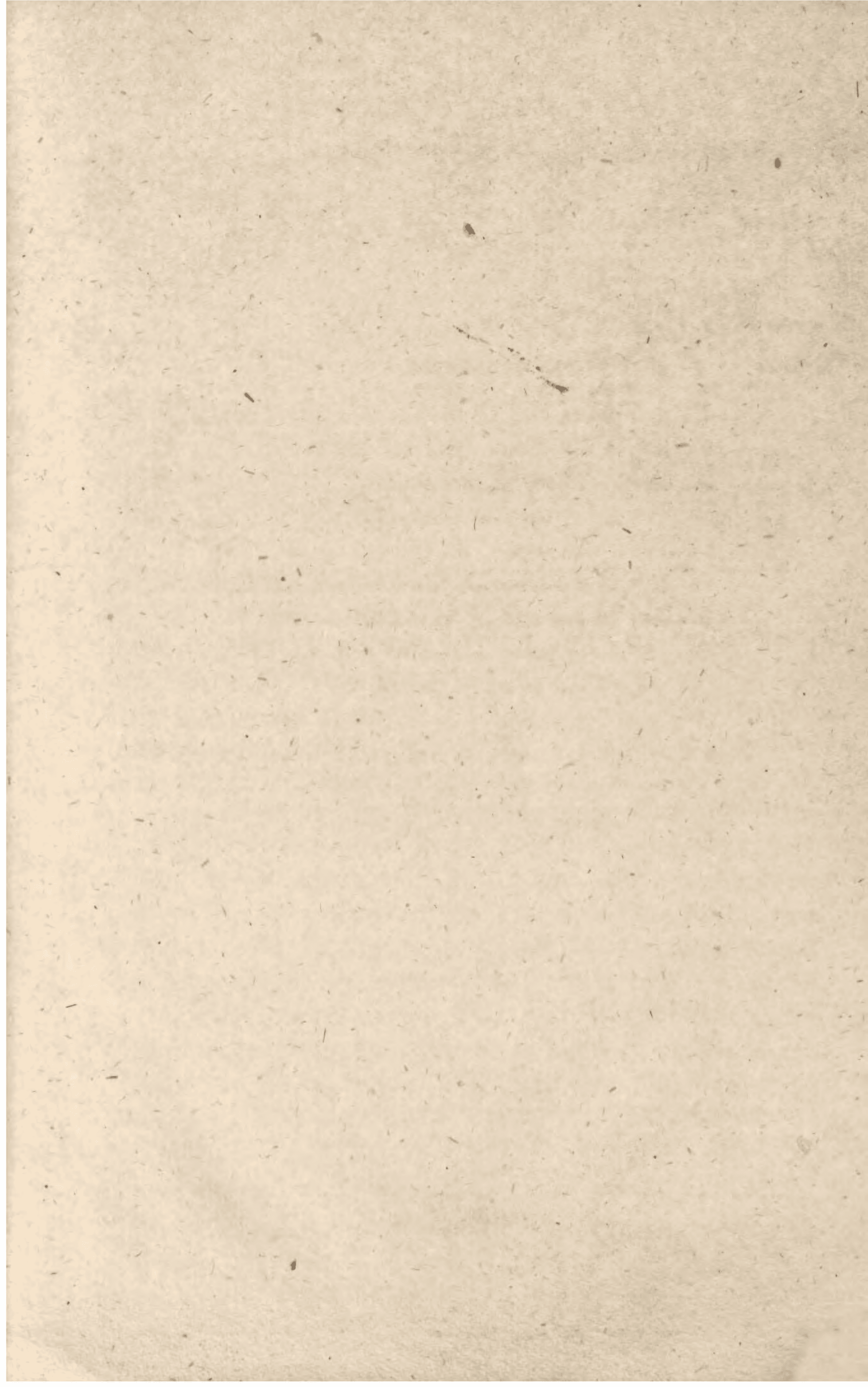 Page 261