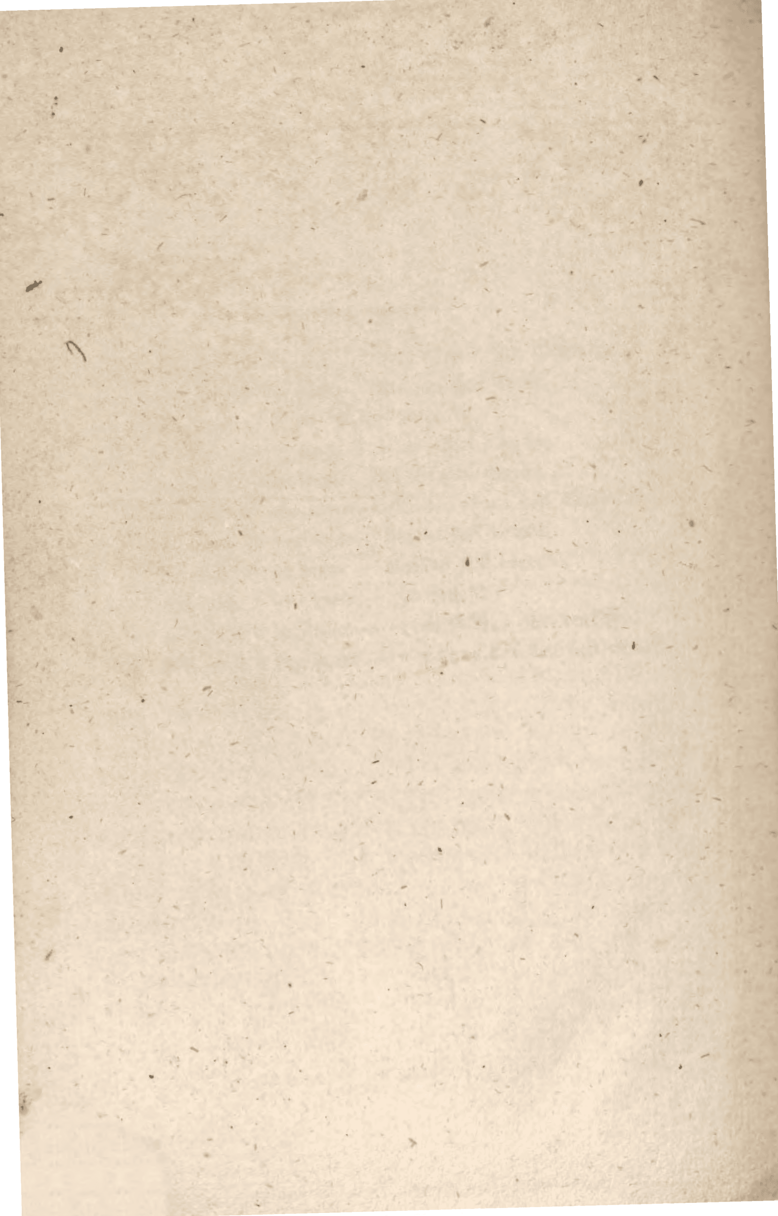 Page 262